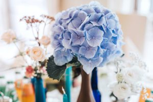 dekoracje wesela z błękitnej hortensji